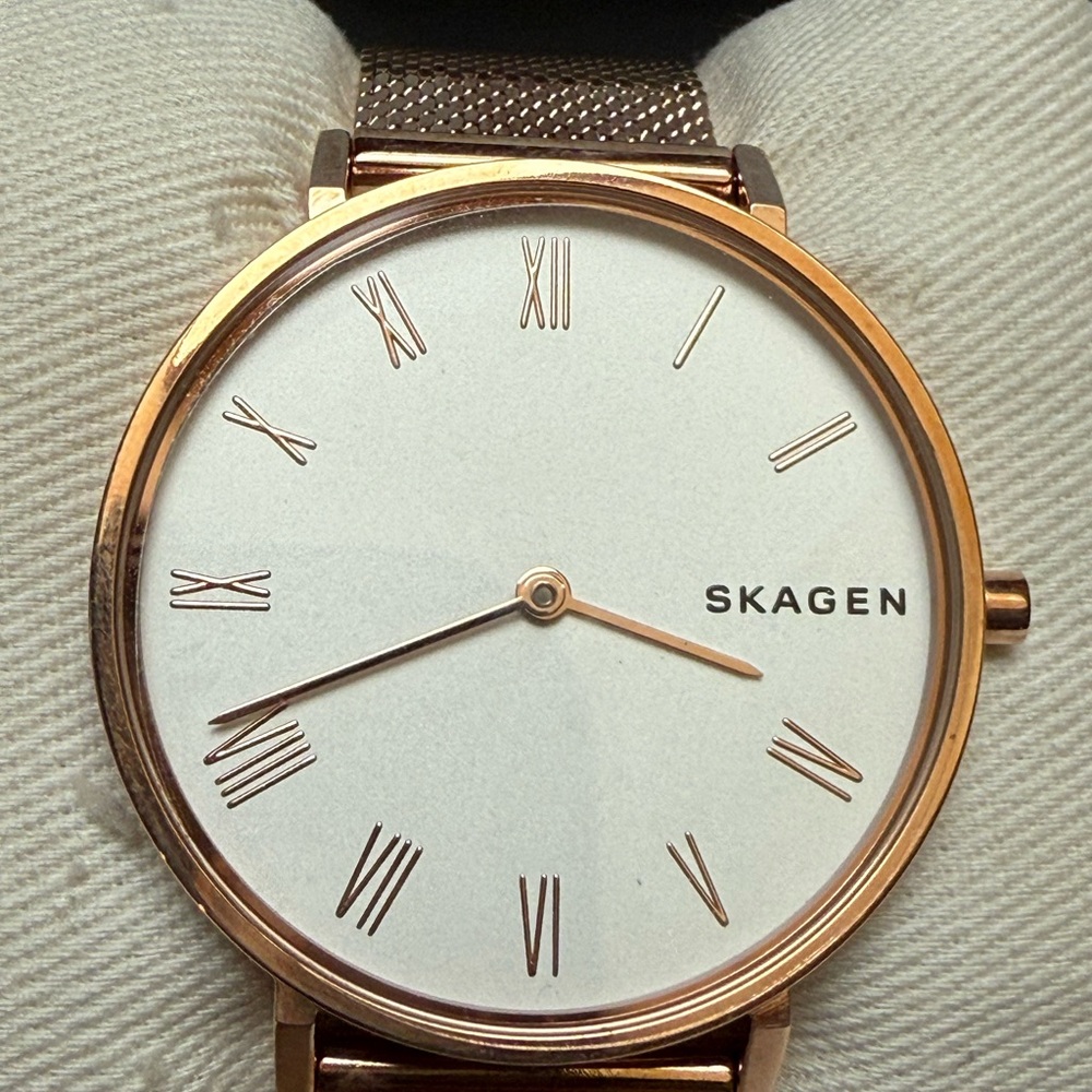 Skagen Gold and White Minimalist Watch